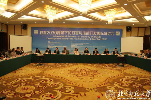 教育2030背景下的掃盲與技能開發(fā)國際研討會 技術(shù)開發(fā)的創(chuàng)新路徑