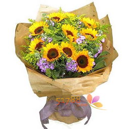 x618 時尚鮮花網(wǎng)花卉品種的全面解析